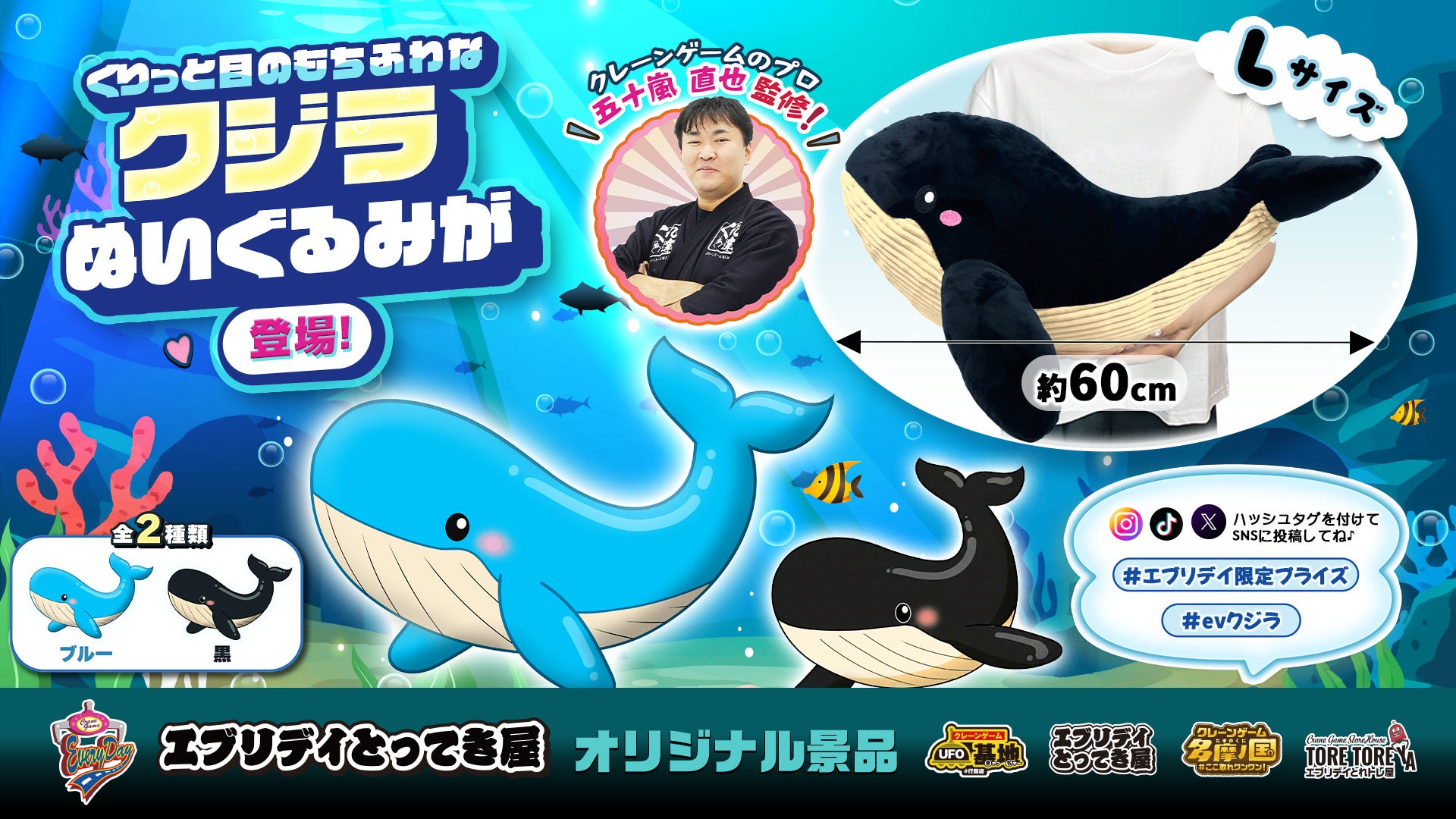 抱きしめたくなる癒し系ビッグサイズ！「クジラぬいぐるみ」エブリデイオリジナル景品として新登場