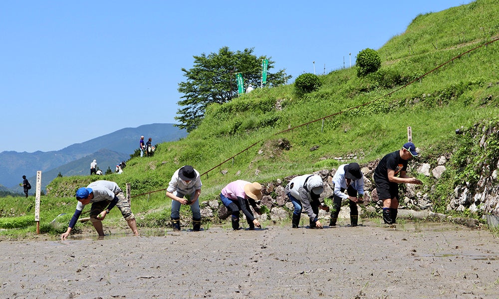【フェアフィールド・バイ・マリオット 道の駅プロジェクト】「日本棚田百選」に選ばれた棚田で昔ながらのお米づくり体験