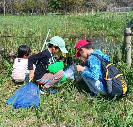 「楽天トラベル」、ユーザーに宿泊施設を提案するAIエージェントに予約機能を追加