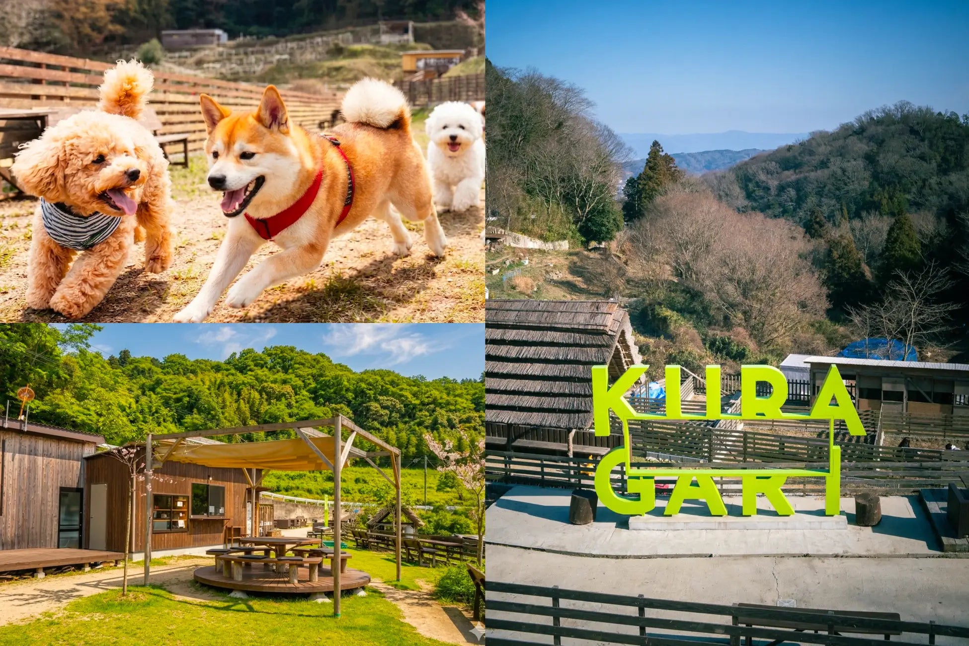 【大阪・奈良の県境】愛犬と行けるカフェ＆キャンプ場「KURAGARI VILLAGE」がわんちゃん用設備をリニューアル