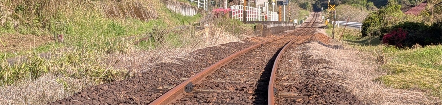 【まもなく復旧】肥薩線レール＆沿線ウォーク(大隅横川駅〜霧島温泉駅)