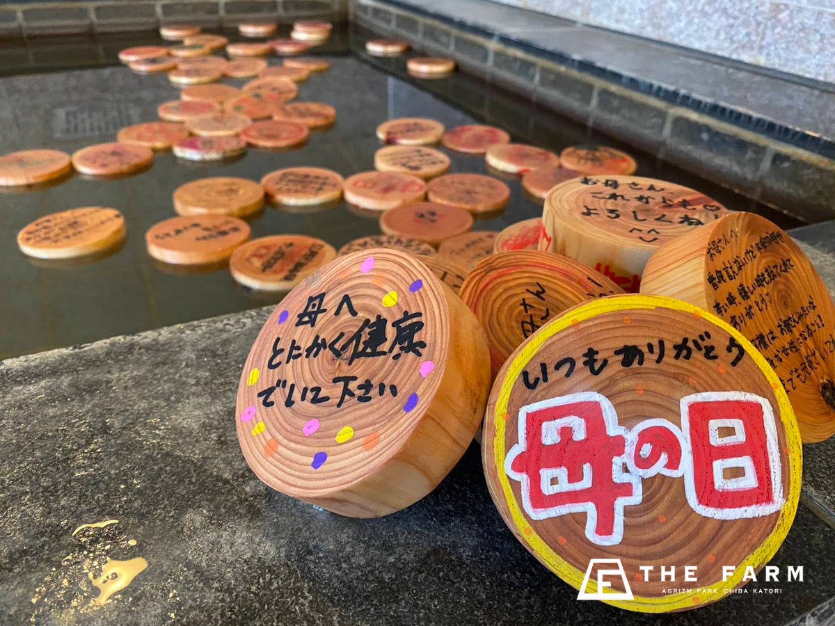 第21回セントレアフォトコンテストの作品募集を開始しました！