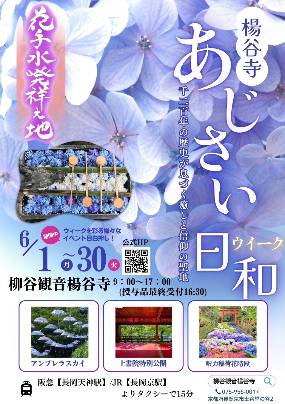 【京都・柳谷観音】初夏の風物詩「あじさいウィーク2026」今年限りの特別公開も