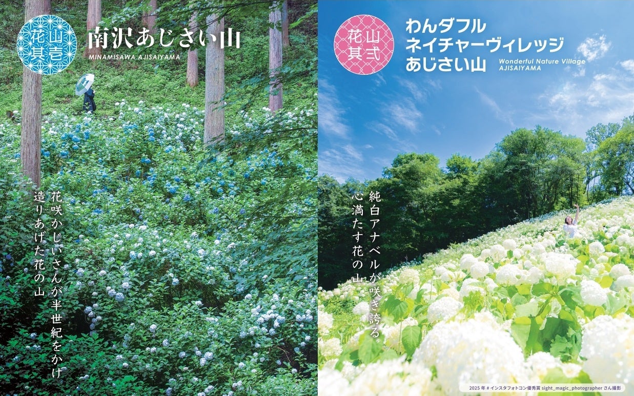 初夏の東京に、奇跡の花景色。「秋川渓谷あじさいまつり2026」開催