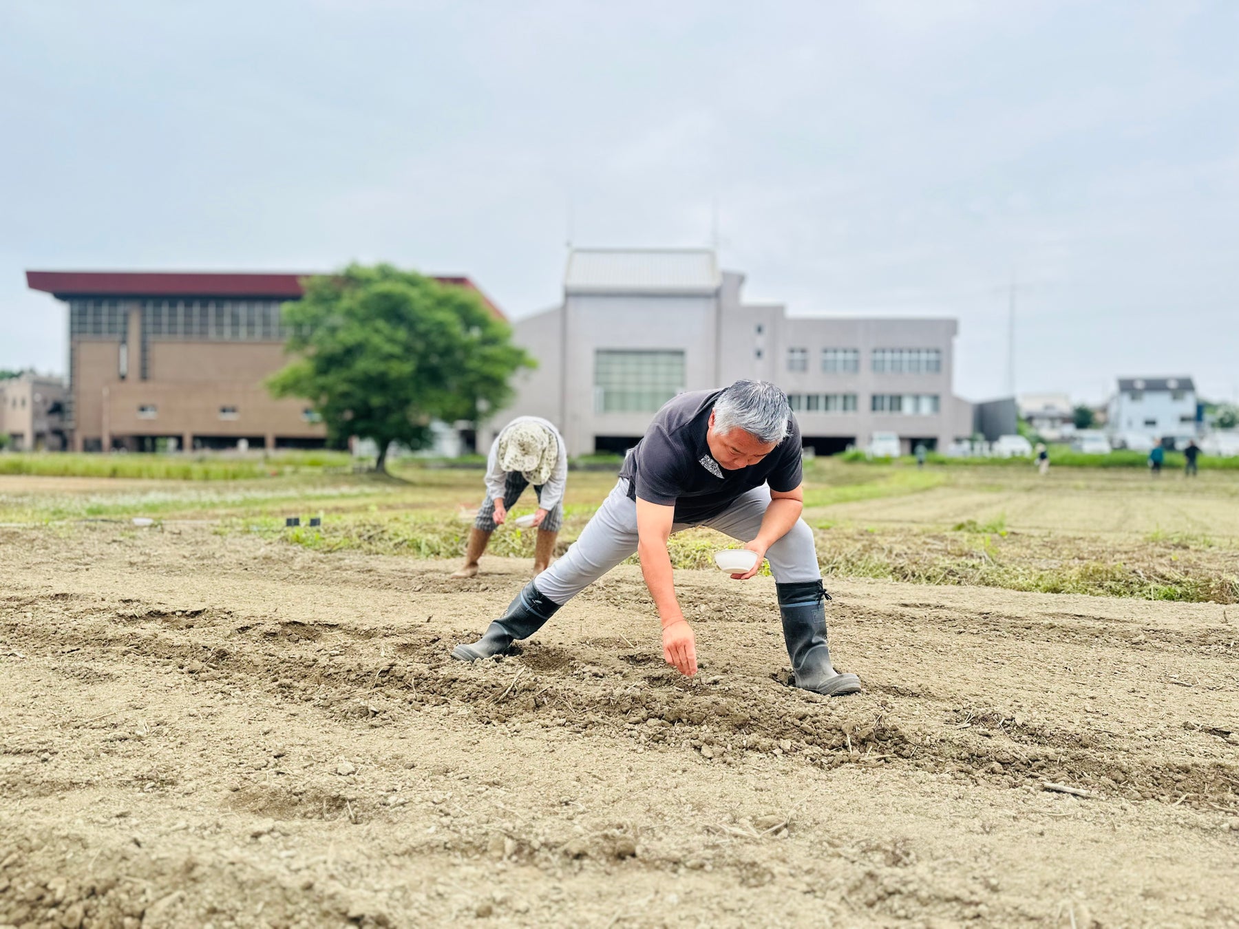 昭和レトロな温泉銭湯 玉川温泉は、ときがわ町の遊休耕作地の解消と町の活性化を目的とした「ソルガム種まき体験」を開催します