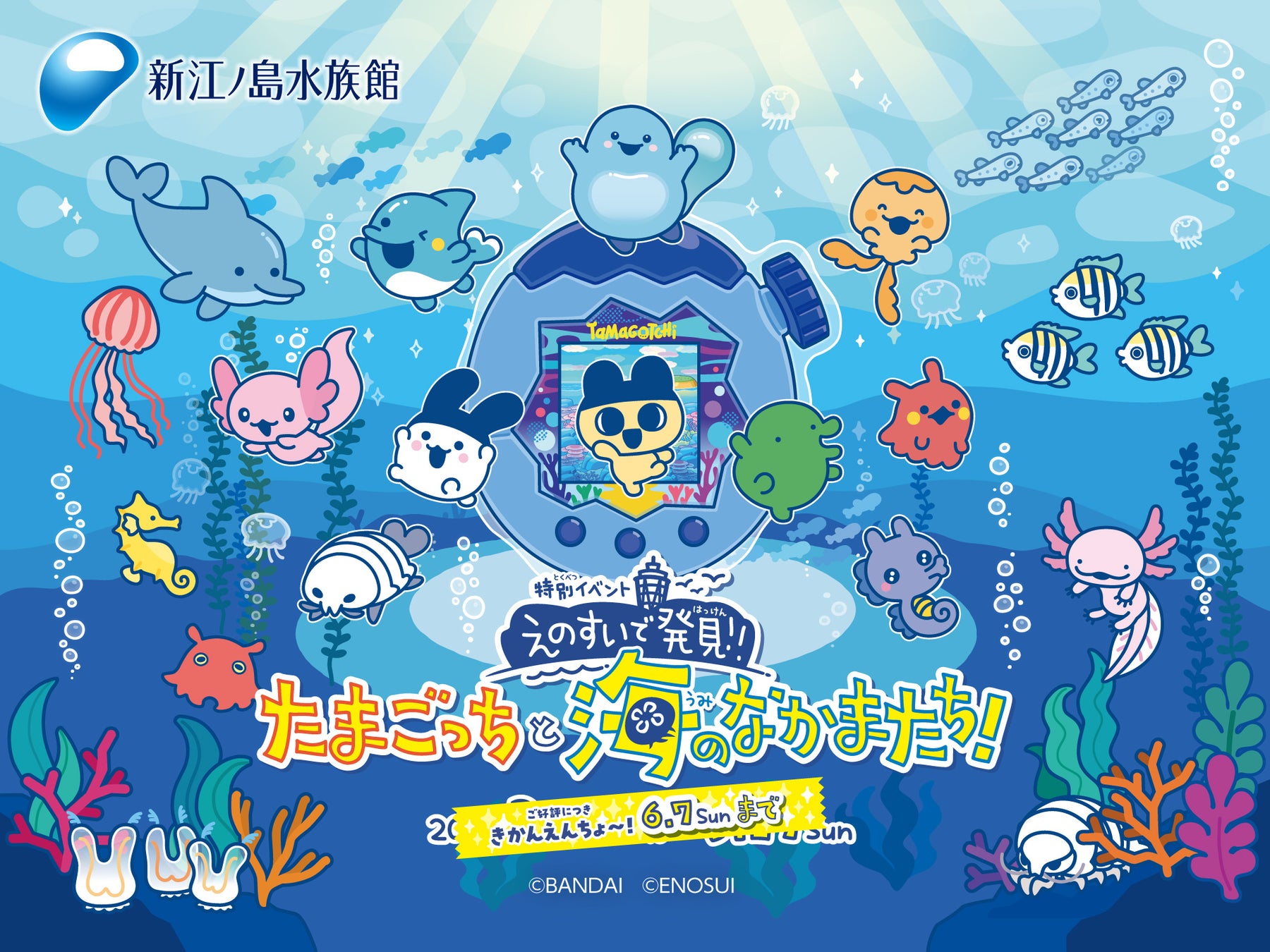 【きかんえんちょ～！】特別イベント『えのすいで発見!!たまごっちと海のなかまたち!』