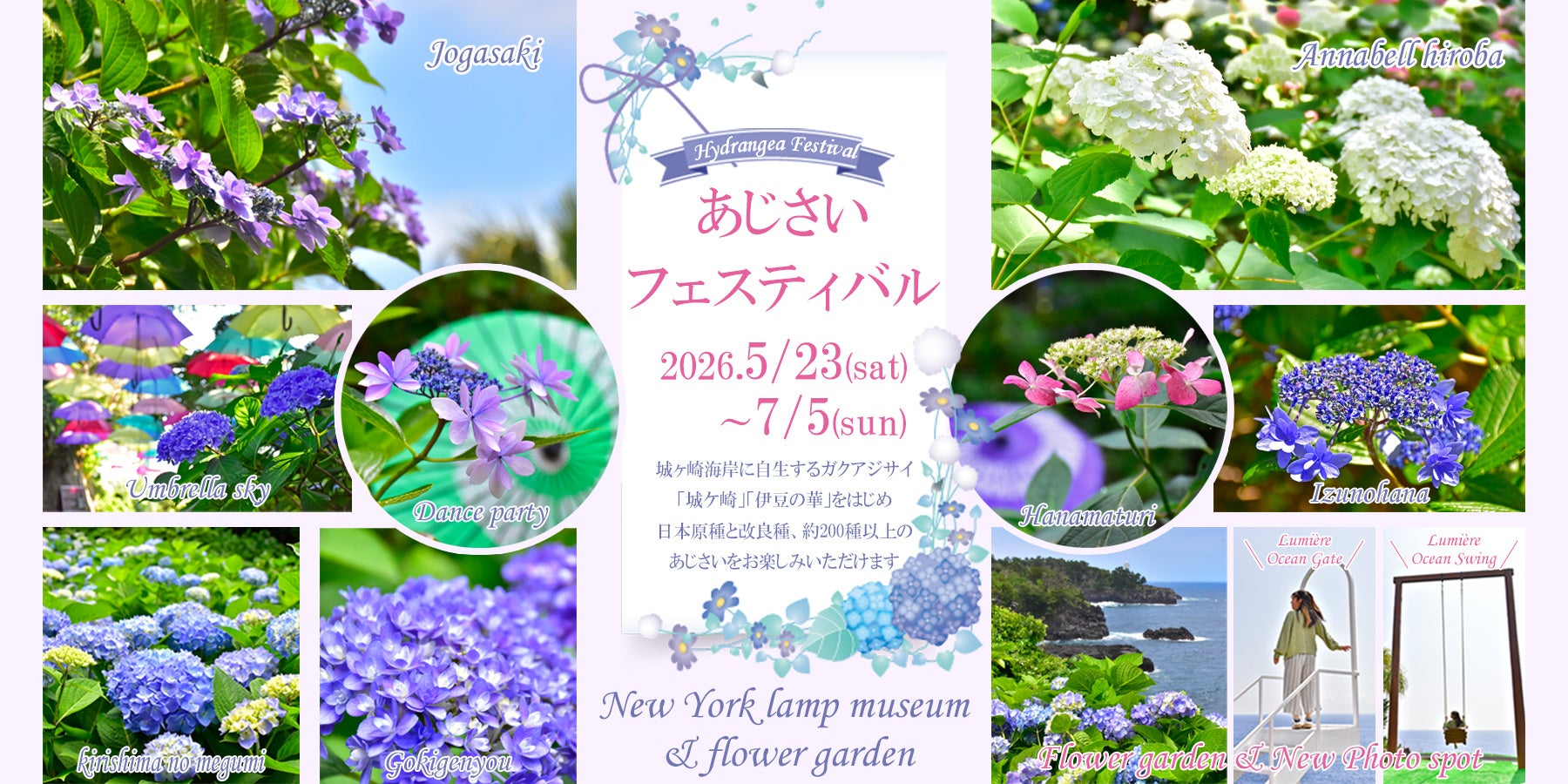 伊豆・城ヶ崎海岸のニューヨークランプミュージアムで「あじさいフェスティバル」を開催（2026.5/23～7/5）！ 自生種「城ケ崎」をはじめ200種以上の多彩な品種とアンブレラスカイが梅雨を彩る