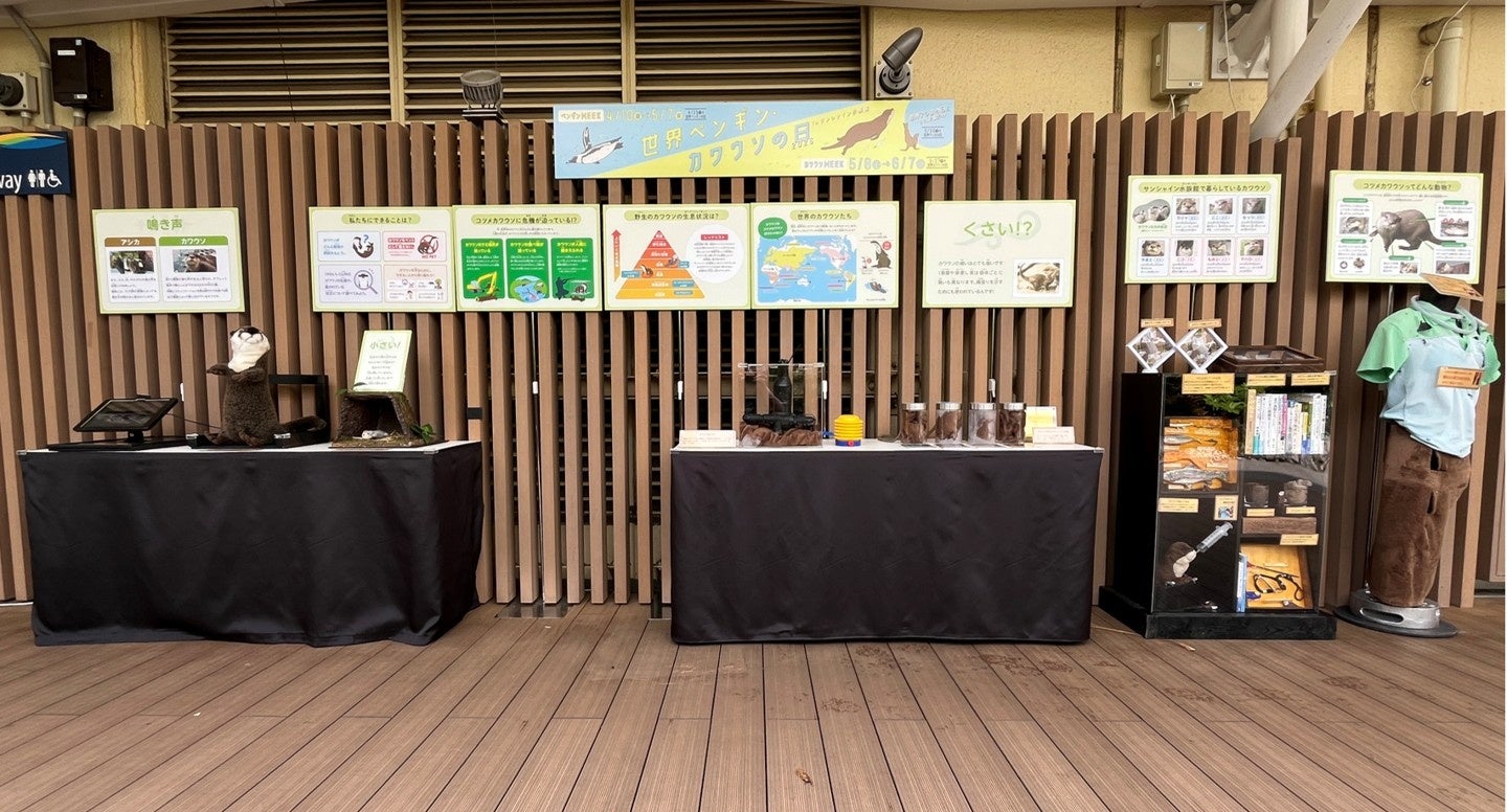 見て、聴いて、嗅いで、触れて！かわいいだけではない生き物のリアルを体験して学べる展示を実施中「世界ペンギン・カワウソの日2026 in サンシャイン水族館」～世界カワウソの日編～*6月7日（日）まで*