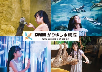 【DMMかりゆし水族館】2026年ゴールデンウィークの入館者数が過去最高の4万8千人を突破！