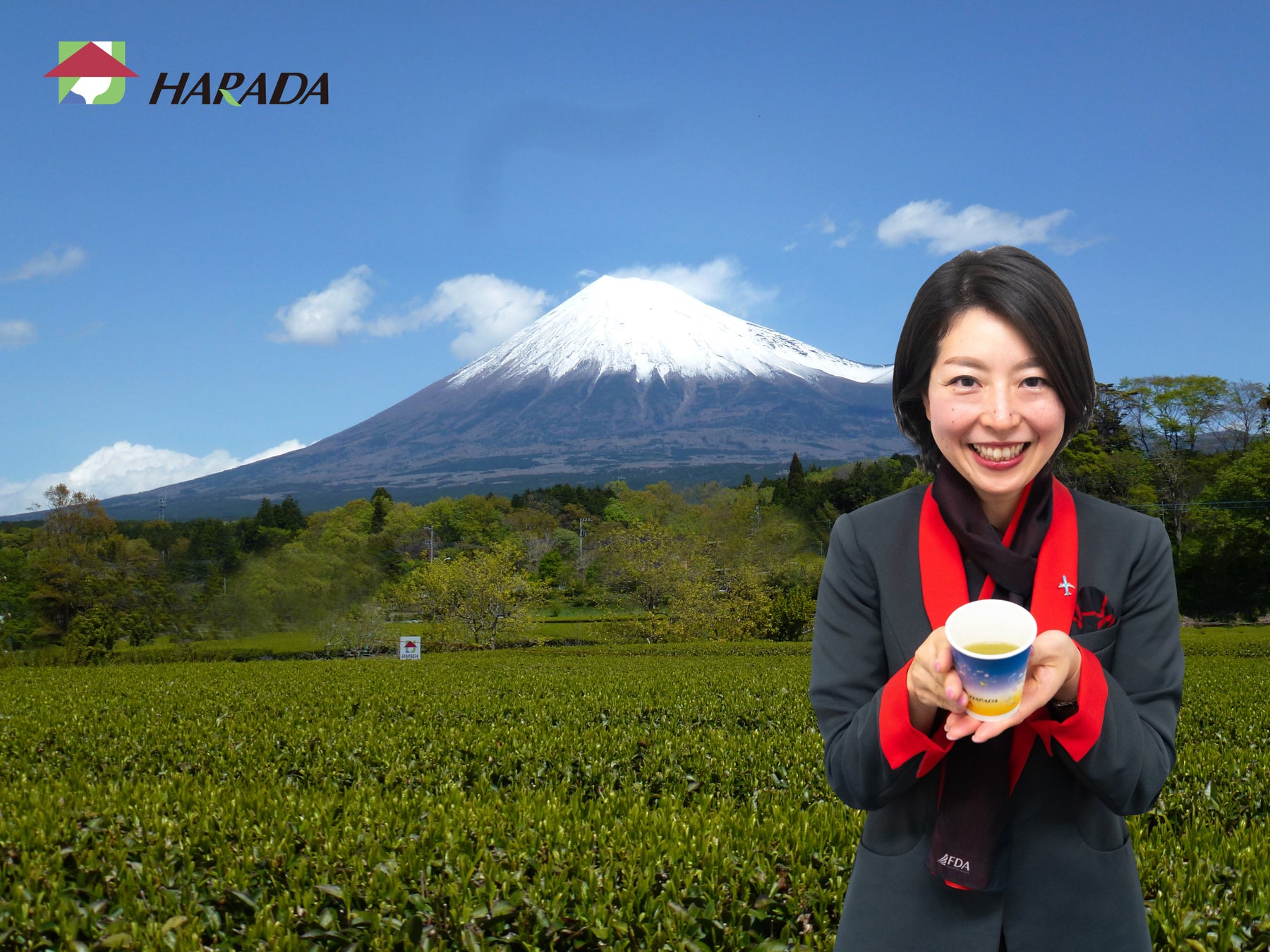 FDA　期間限定で静岡県産茶葉を使用した「新茶」を提供しています