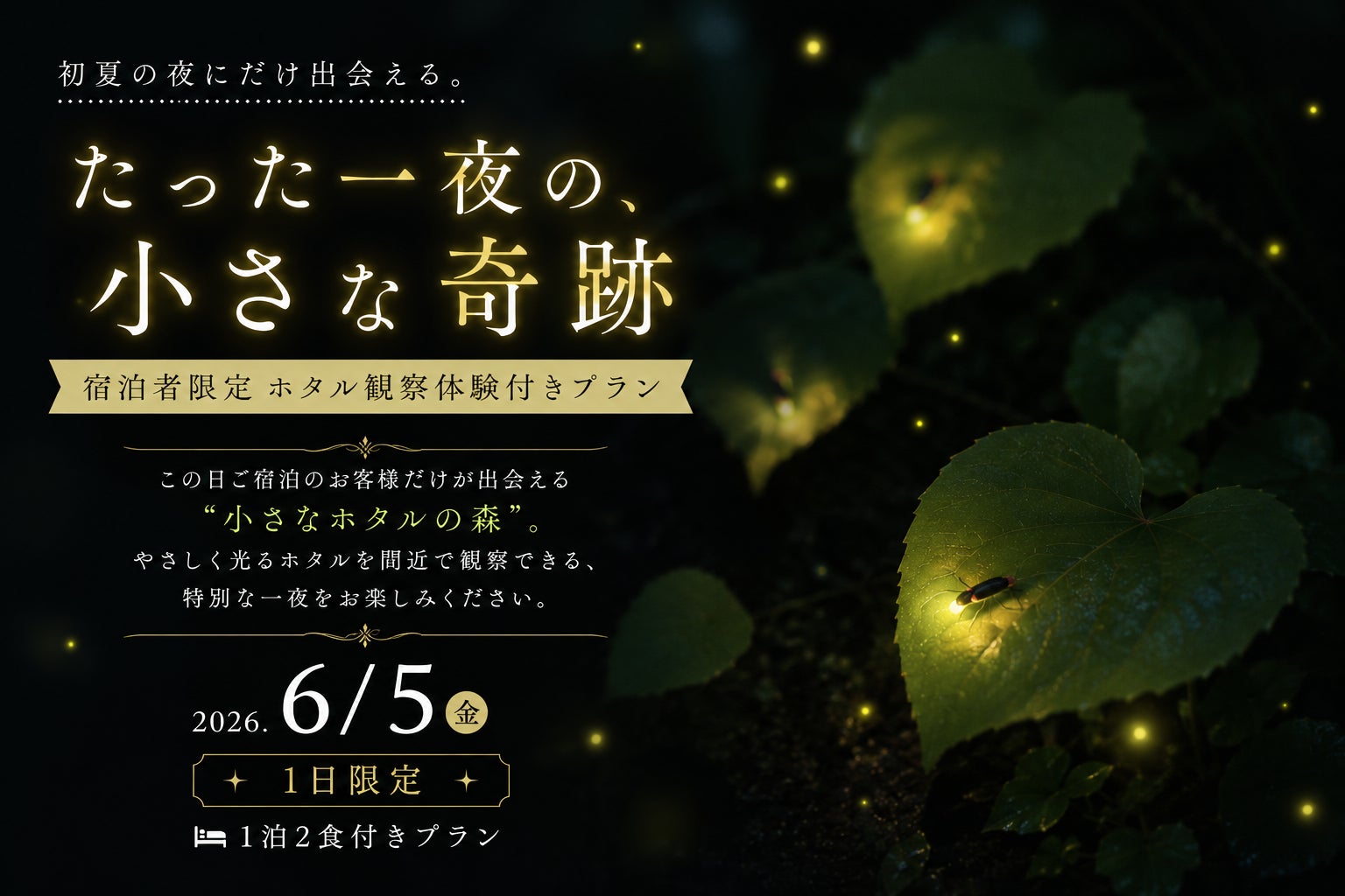 【愛知県岡崎市】6月5日(金)、たった1日だけ。大自然に”小さなホタルの森”が現れる、ホタル観察体験付き宿泊プランが登場！