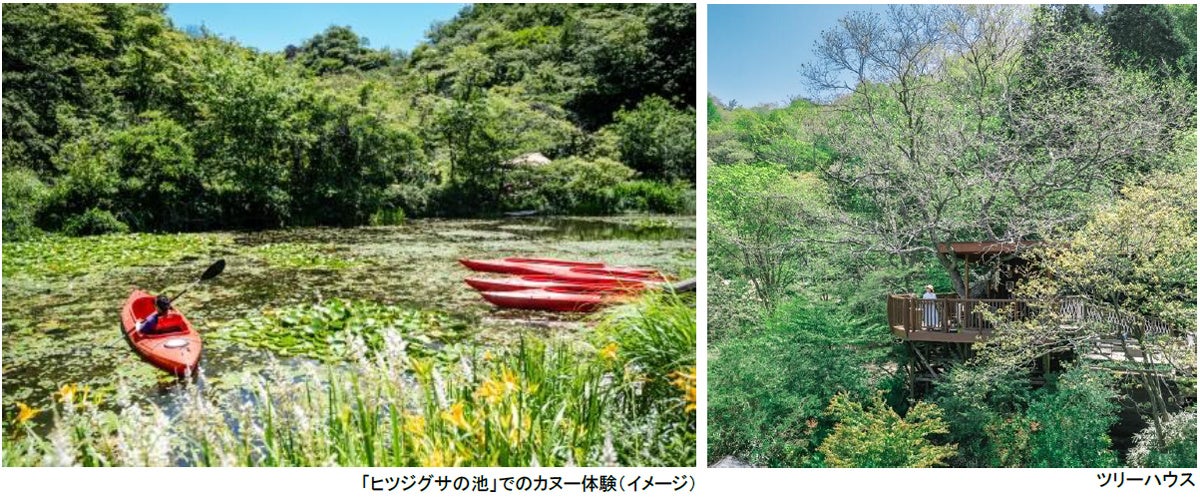 ROKKO森の音ミュージアム 神戸市街地より-5度の避暑地体験 「ROKKO山涼みフェス2026」開催 2026年7月18日（土）～20日（月・祝）