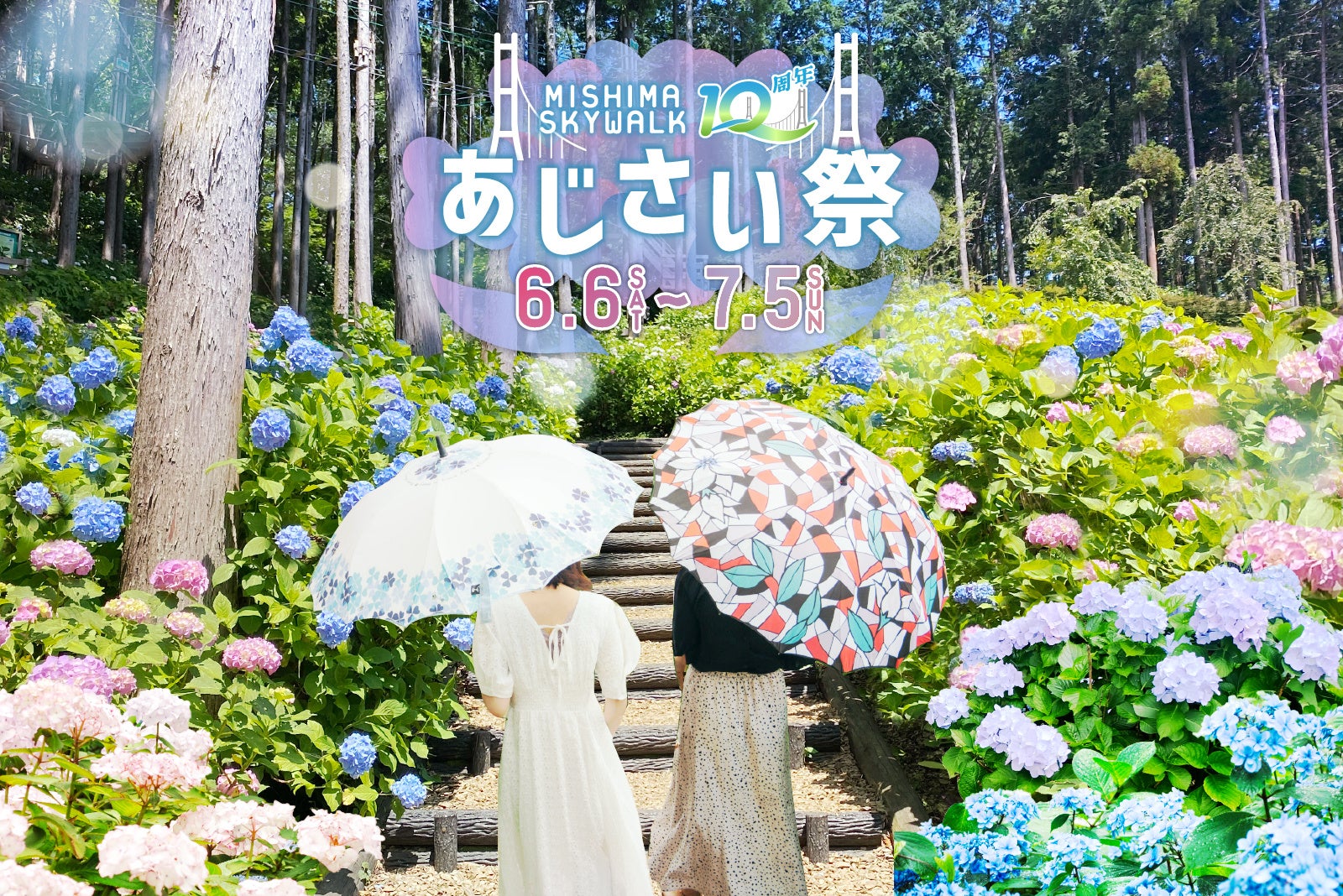全215種類、13,000株以上のあじさいが7,000㎡の森で見頃に！三島スカイウォーク『あじさい祭』今年も開催！2026年6月6日（土）から7月5日（日）まで期間限定