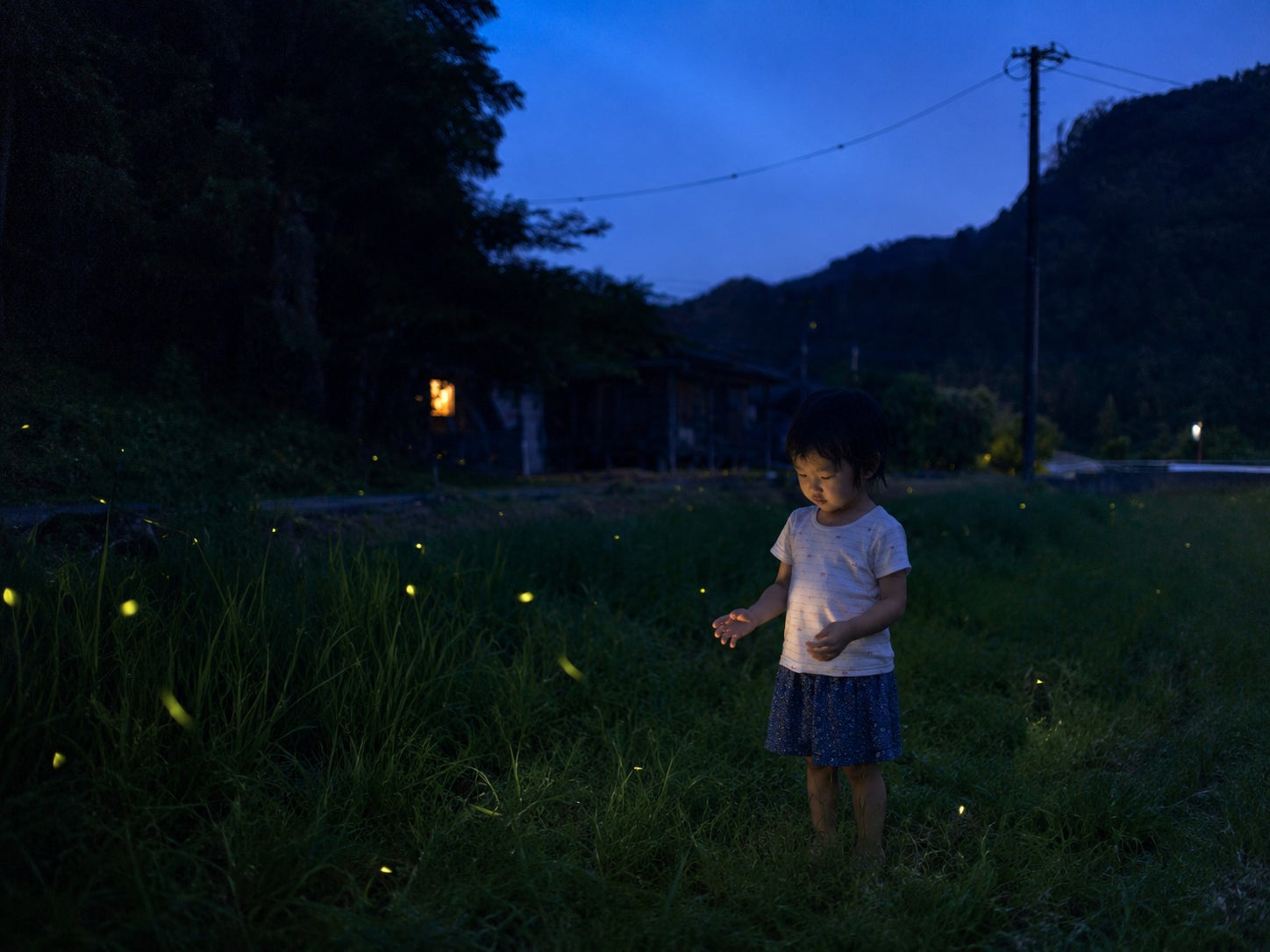 関東・夜の里山を歩き、天然蛍に会いに行く。東京から90分・千葉富津のグランピング和心村で6/1開始