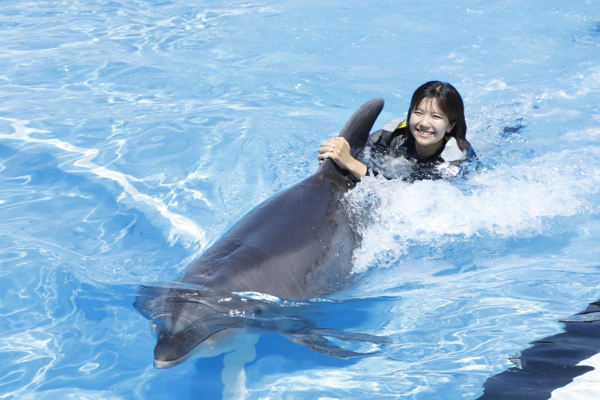 【南知多ビーチランド】昨年大反響の“イルカと夢の水中遊泳”が今年も実現！「イルカと泳ごう！」を開催日数を拡大して開催＜愛知＞