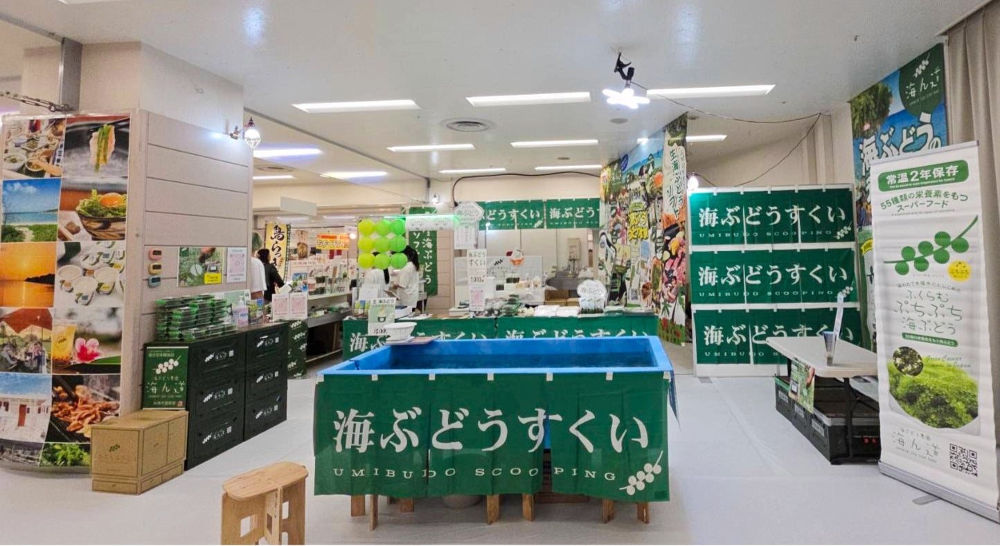 年間5万人が訪れる海ぶどうテーマパーク「海ん道」が期間限定で池袋に登場！