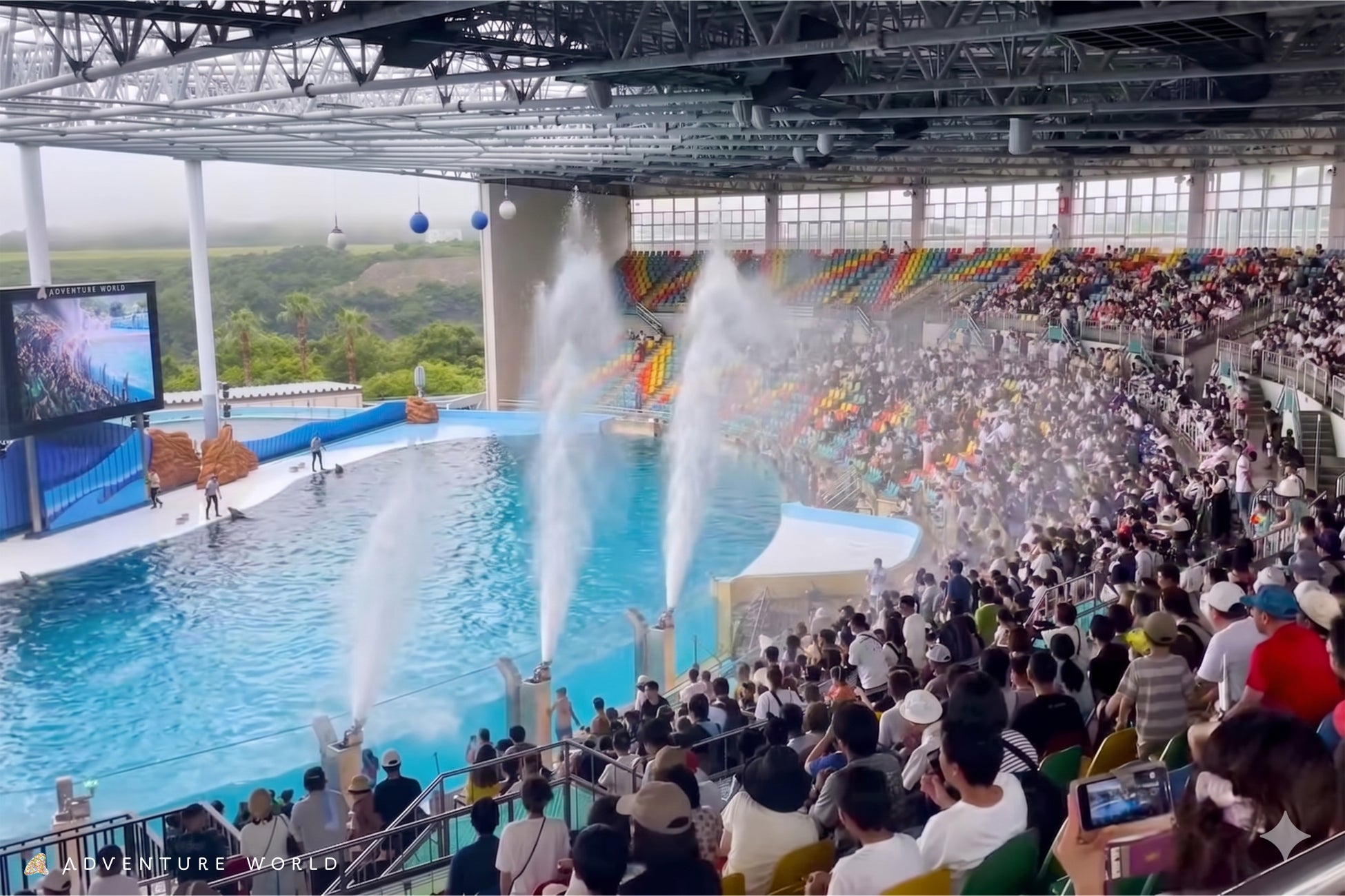 白浜の夏を、ペンギンが凍らせる！？真夏の『ワイルド・クール・アドベンチャー』開催！