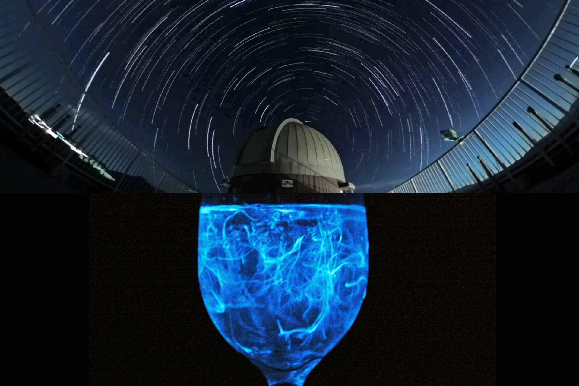 淡路島発「宙の光」と「海の光」をダブル体験　休暇村南淡路「天文台でスターウォッチング」「ウミホタル観察会」を同時開催　夏休みの自由研究はこれで決まり！