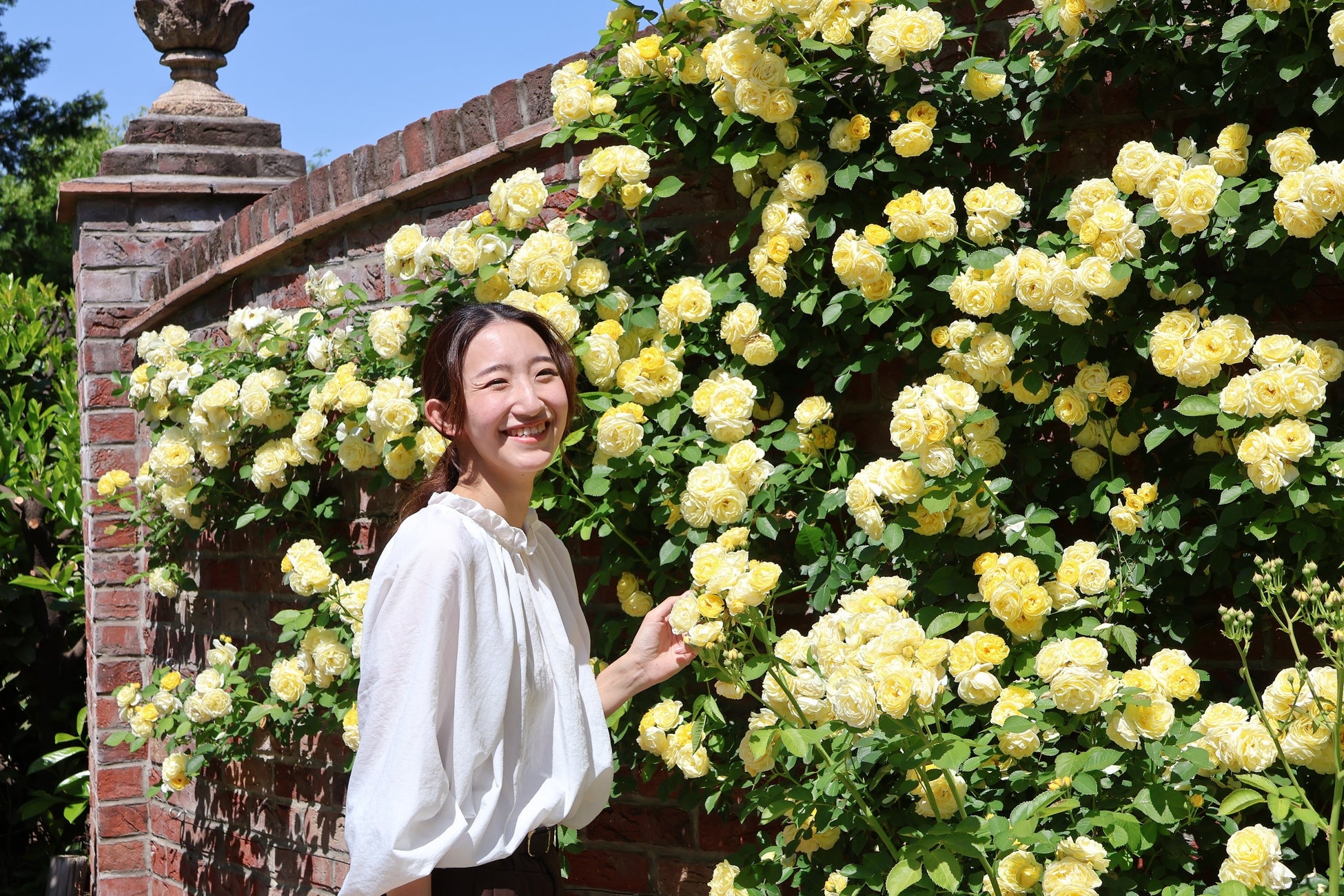 【群馬おでかけスポット】まるで英国の庭園。バラの穴場スポット「エアリスの小さな森公園」太田市