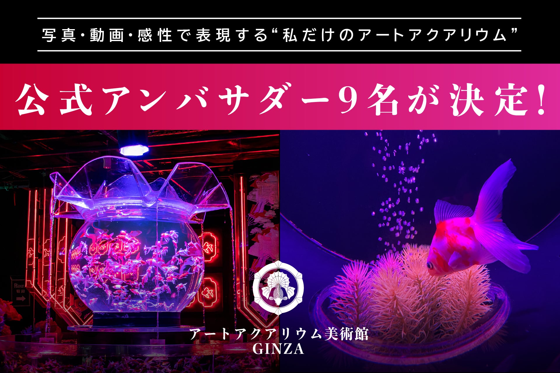 写真・動画・感性で表現する“私だけのアートアクアリウム” アートアクアリウム美術館 GINZA 2026年公式アンバサダー9名が決定！