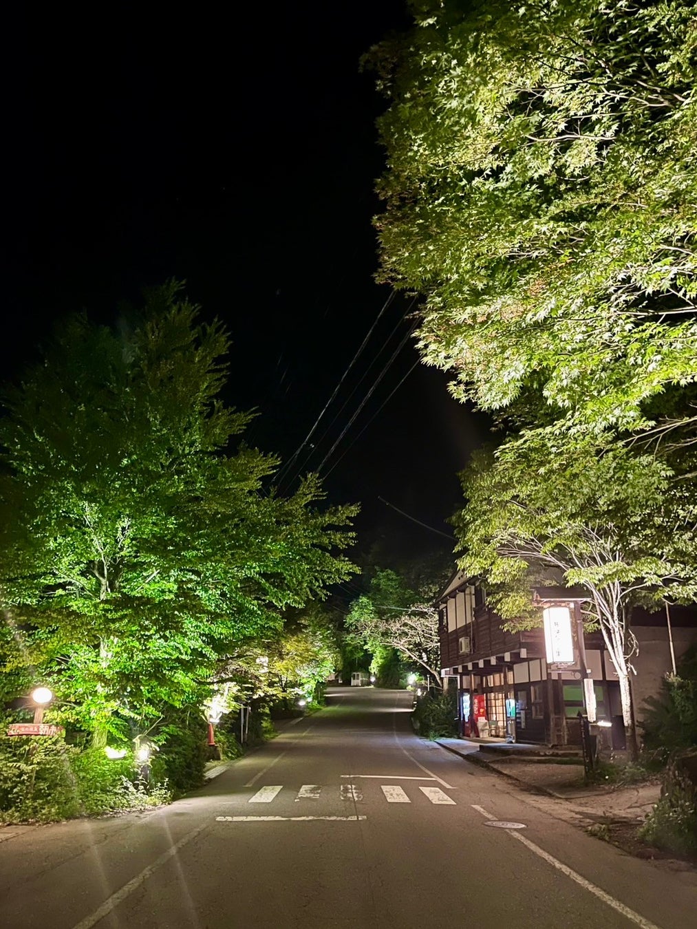 【飛騨高山・岐阜県高山市】福地温泉「新緑の街並みライトアップ」