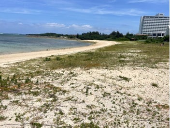 読谷村・宇座ビーチ　クリーンアップ＆草刈りイベント　　　　　　　―　一人一人の手で、美しい砂浜を未来へ　 ―