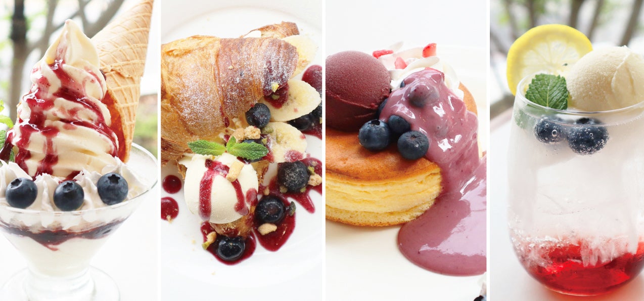 【ホテルグランヴィア和歌山】夏を彩る甘酸っぱさ！初夏のきらめき 「ブルーベリーフェア」開催！