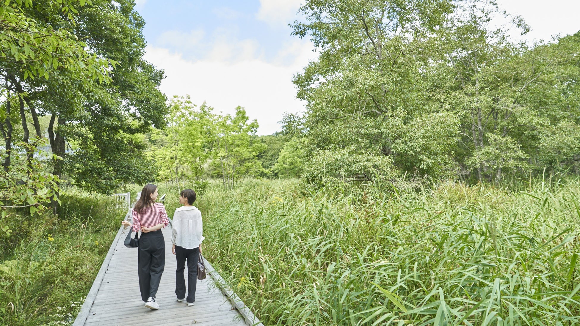 【京都外国語大学】「よみうりマーケット」に出展!和歌山県美浜町の魅力を伝えるSDGsワークショップと特産品販売を実施