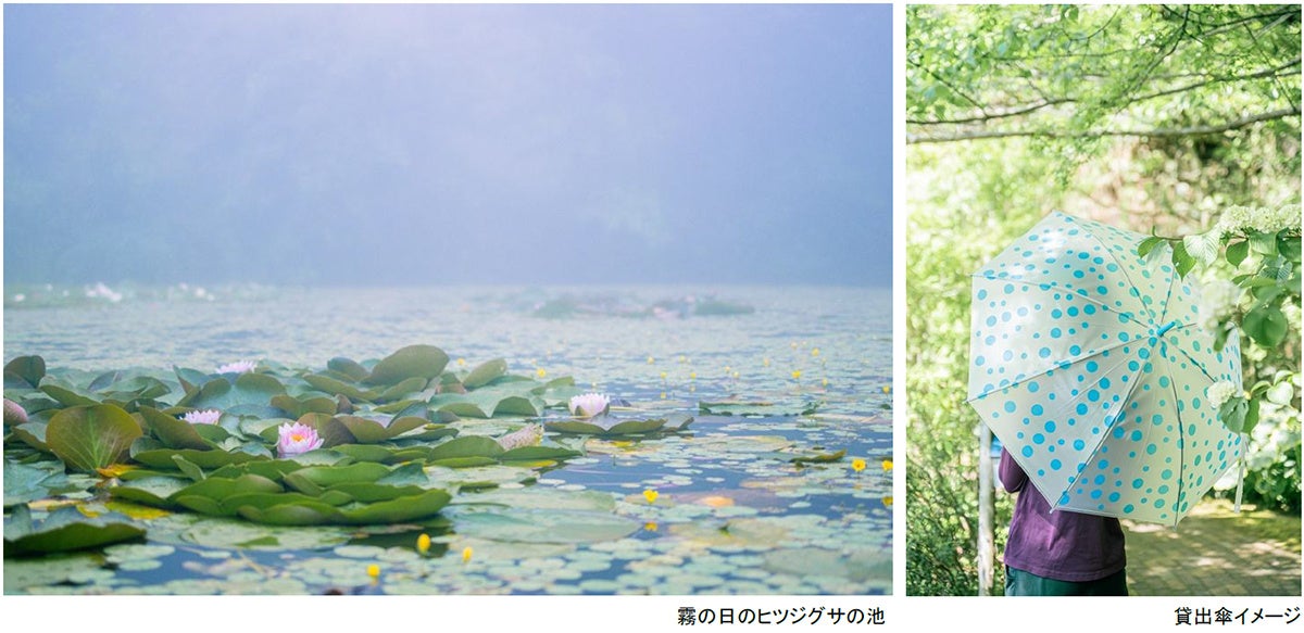 ROKKO森の音ミュージアム 雨の日こそ霧が幻想的な博物館へ レイニーシーズン SNSキャンペーン 2026年6月1日（月）～7月17日（金）