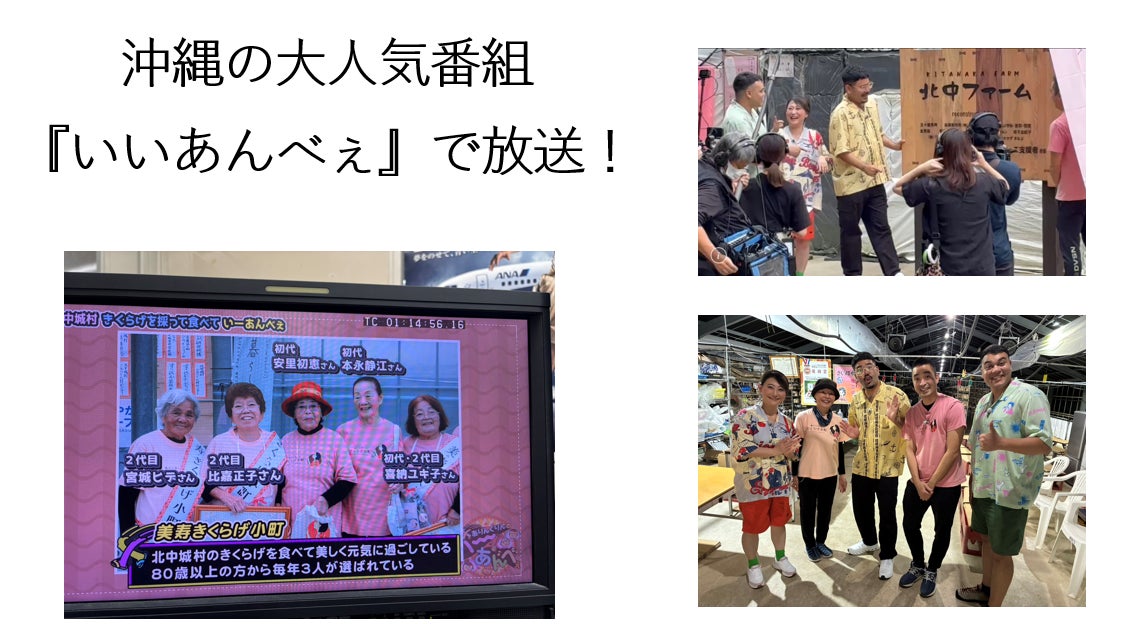 【北中城】きくらげ収穫体験予約！いいあんべぇ特別キャンペーン定価5,000円→1000円！※6月末までに予約分に限る