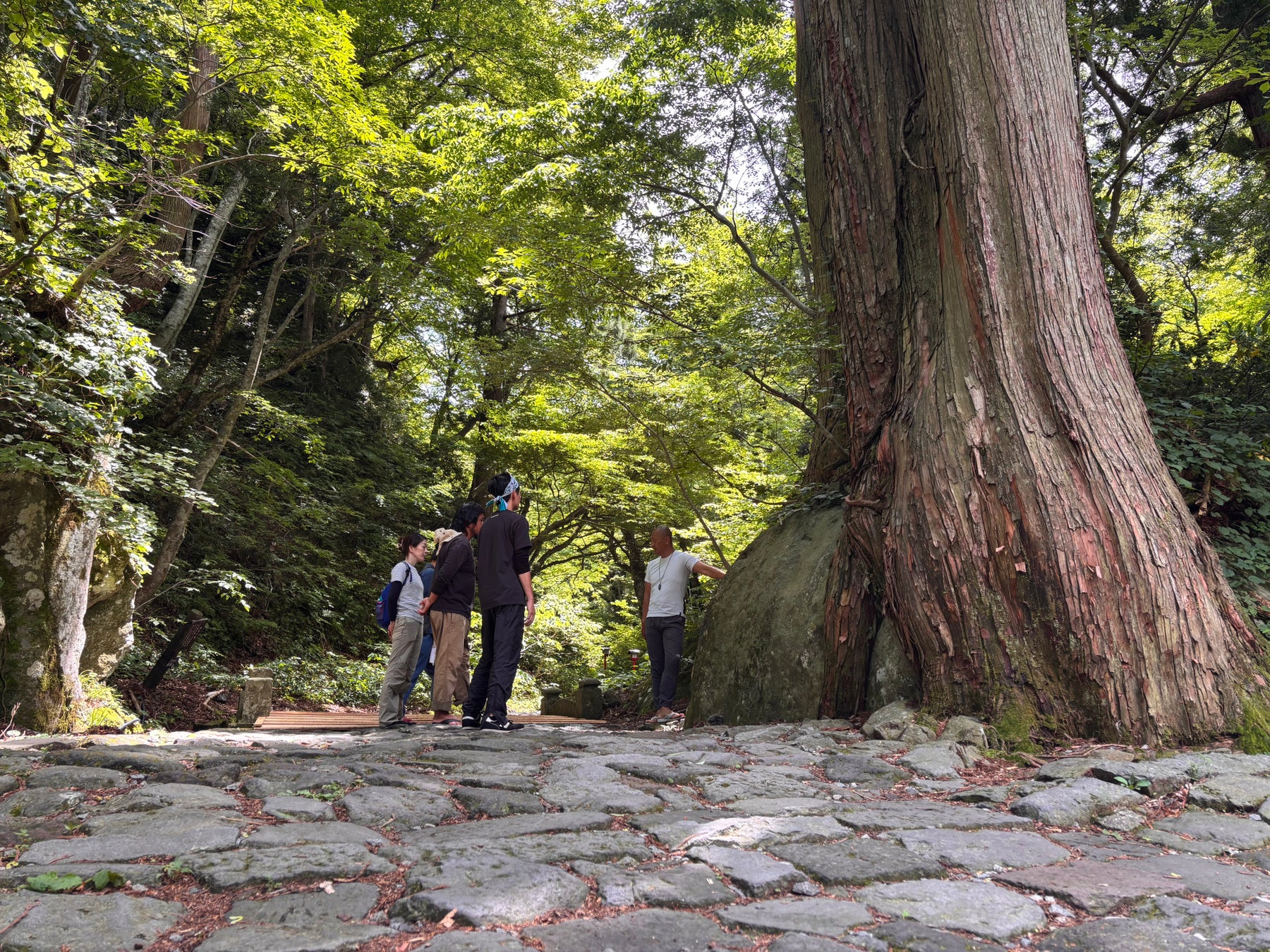 鳥取県大山寺エリアに株式会社 大山流域研究所を設立 「流域哲学道場 天狗茶屋」構想を始動
