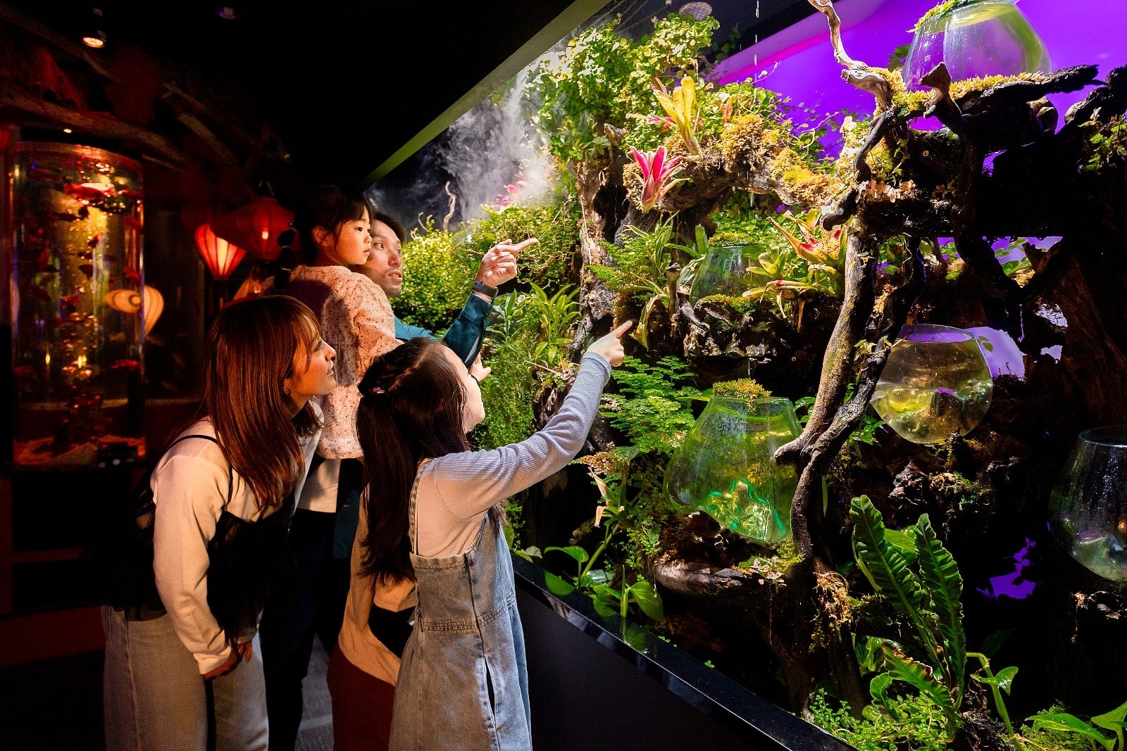 お台場で約4年愛された『UWS AQUARIUM GA☆KYO』2026年8月末をもって閉幕。レインボーブリッジを望む新たな演出が加わり、夜景とアートが溶け合う唯一無二の空間がフィナーレを飾ります。