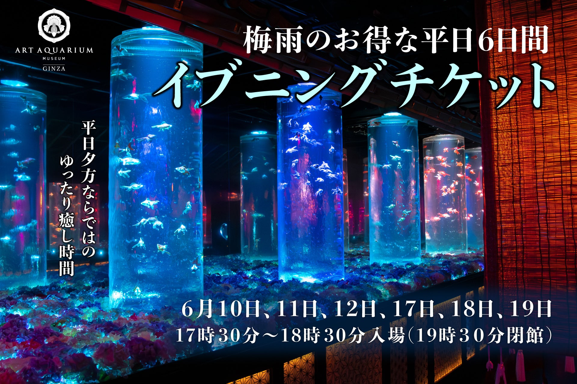 6月のウィークディ、6日間限定お得な“イブニングチケット”販売＆営業時間を延長！
