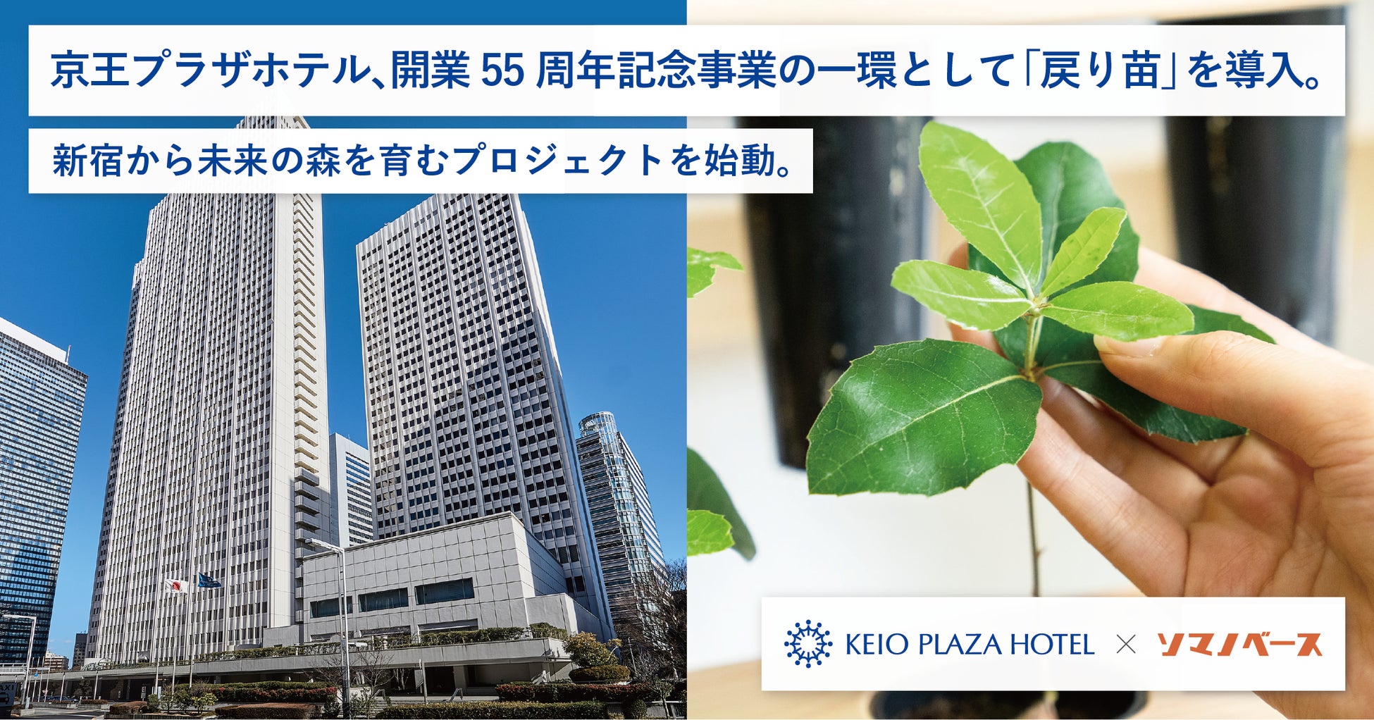 開業55周年記念事業の一環として「戻り苗」を開始