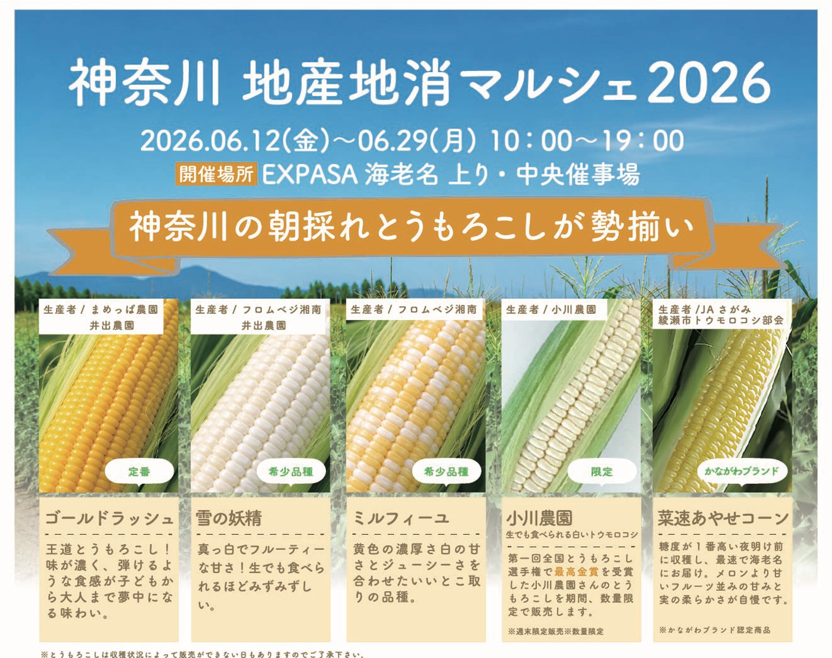 神奈川の“トウモロコシ”が“海老名”に集まる「神奈川 地産地消マルシェ 2026」開催〜神奈川の朝採れトウモロコシの甘さ、トウモロコシスイーツが楽しめる〜