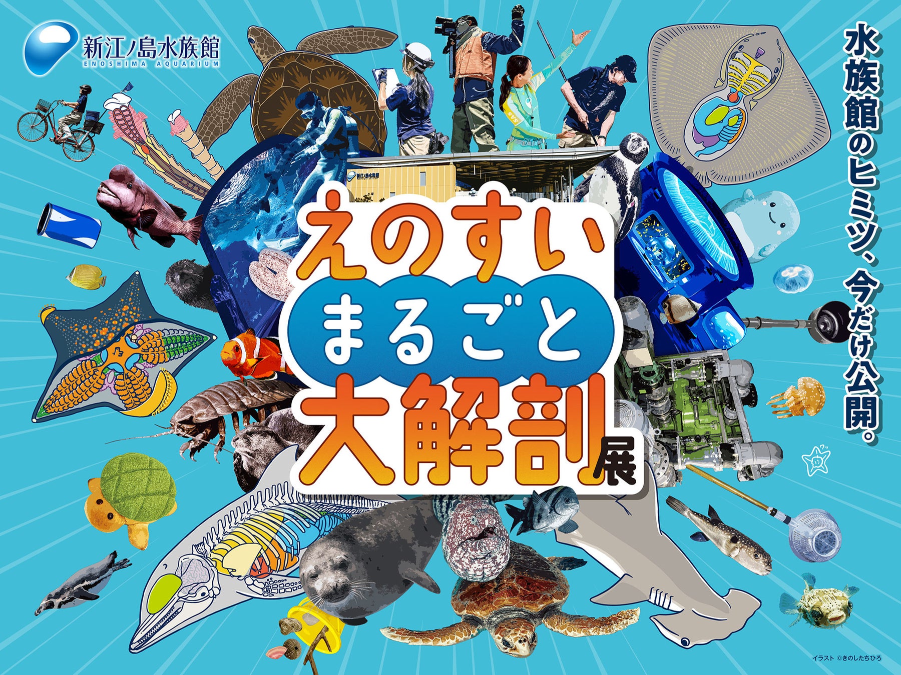 水族館のヒミツ、今だけ公開。「えのすいまるごと大解剖展」開催‼