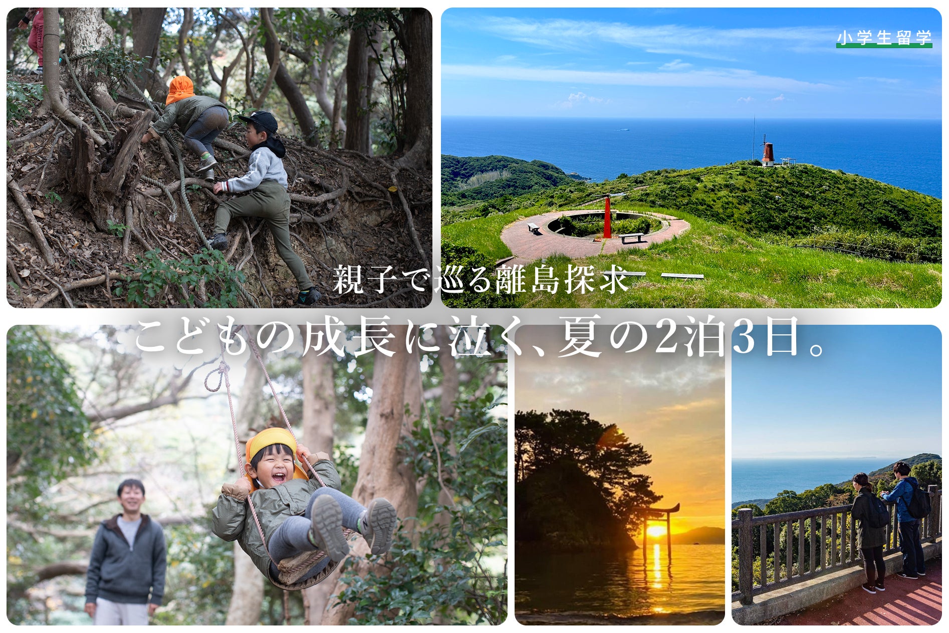 「自由研究、何しよう？」を旅で解決。福岡県・宗像大島で、小学生親子向け探究型離島ツアー『大島まるごと はっけん隊』の参加者募集を開始