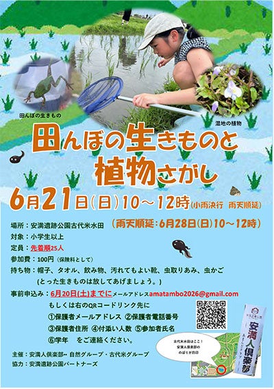 安満遺跡公園の古代米水田で生き物探し