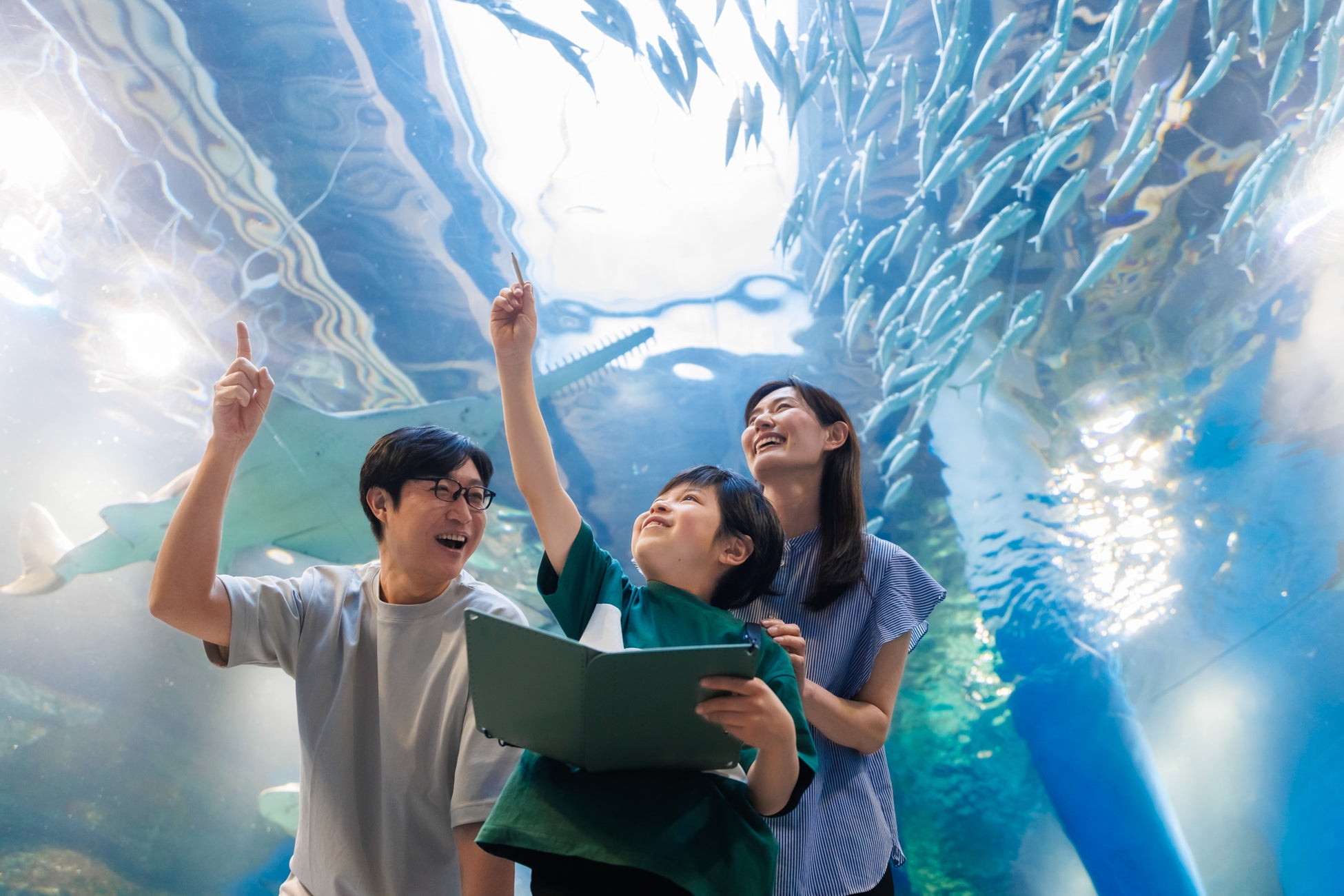 【品川プリンスホテル】～ホテルステイ×自由研究～水族館の飼育スタッフから学ぶSDGsとスペシャルゼリー（餌）作り