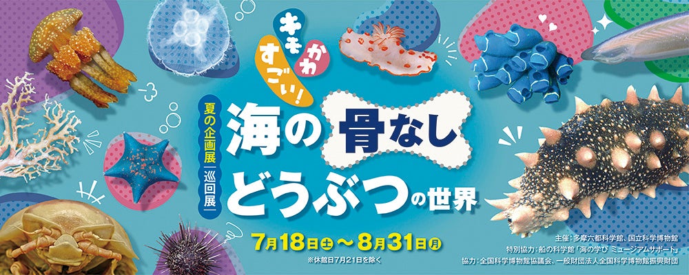 【多摩六都科学館】この夏、 “キモかわすごい” 海の生き物たちが集結