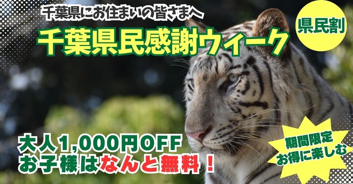千葉県民限定！県民の日を彩る特別な1週間（千葉県民割）