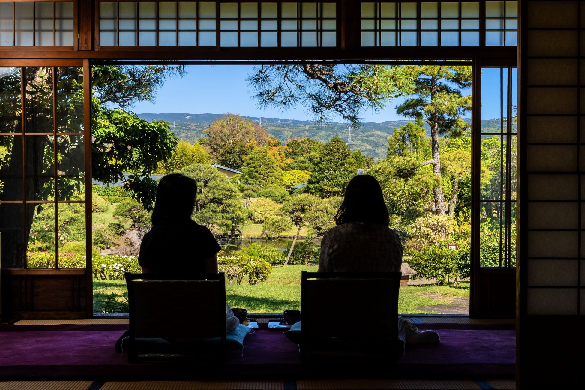 盗掘・食害・気候変動で絶滅危惧 “幻の花”アツモリソウの未来を考える　富士見町で初の全国サミット開催