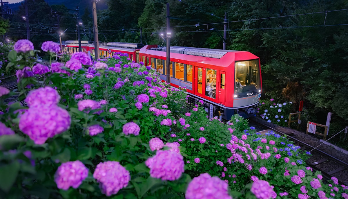 箱根登山電車「夜のあじさい号」6月13日(土)運行開始　　　　　　強羅駅にて、旅館ならではのおもてなしで来訪者を歓迎
