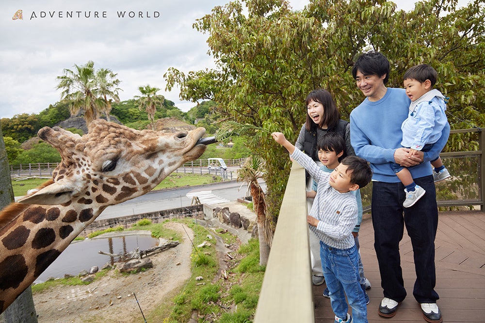 アドベンチャーワールド『Always Together』30周年記念　和歌山在住こども入園無料「和歌山こどもアドベンチャーパス」6/1～7/17実施