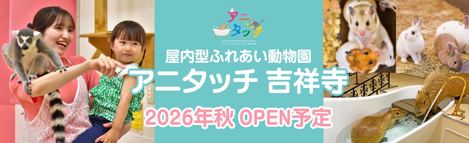 《伊豆シャボテンリゾート株式会社50周年記念事業》屋内型ふれあい動物園「アニタッチ 吉祥寺」が2026年秋にオープン予定。アニタッチ初の路面店舗、ビル1棟（3階）がすべてアニタッチに！