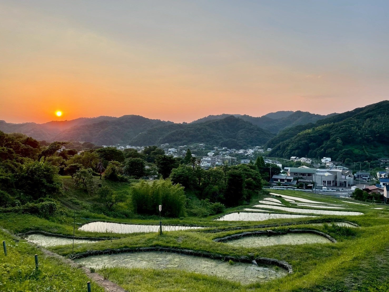 「地域まるごとホテル＠三浦半島」事業の葉山棚田エリアがオープンします！
