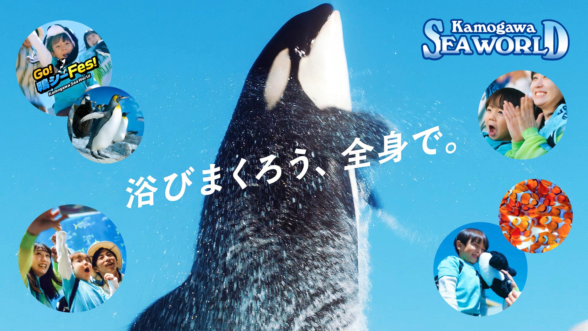 【鴨川シーワールド】千葉県発の気鋭バンド×千葉県老舗の水族館でお届けする新CMが解禁！夏の新CM放送決定！＆ SNSキャンペーン開催！！