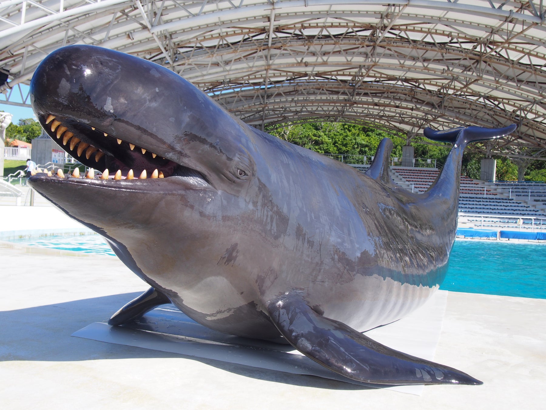 【沖縄美ら海水族館】【オキちゃん劇場Summer Show 2026】叫んで、はしゃげ！「美ら海スプラッシュフェス」