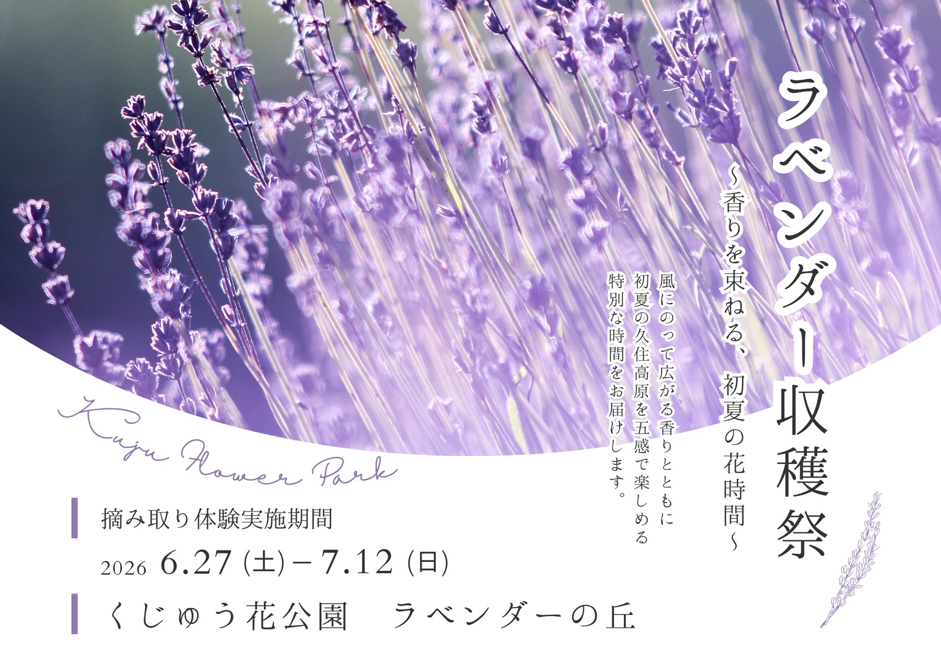 くじゅう花公園ラベンダー収穫祭2026　〜香りを束ねる、初夏の花時間〜