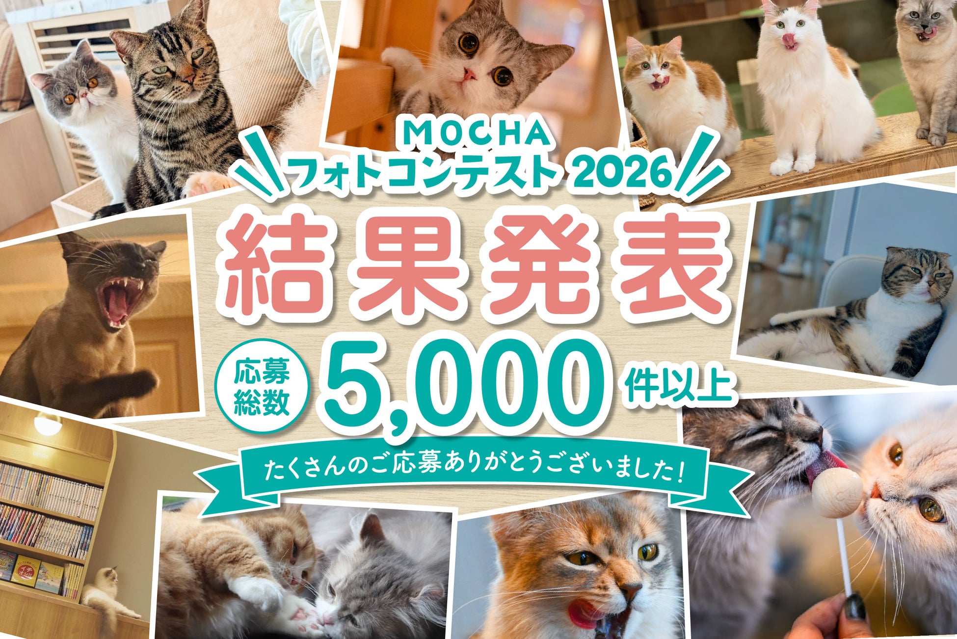 【応募総数5,000件超！】猫カフェMOCHA「MOCHAフォトコンテスト2026」結果発表！